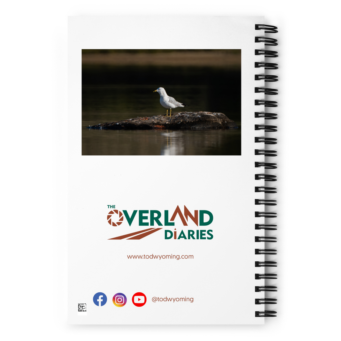 Seagull Sunrise Notebook