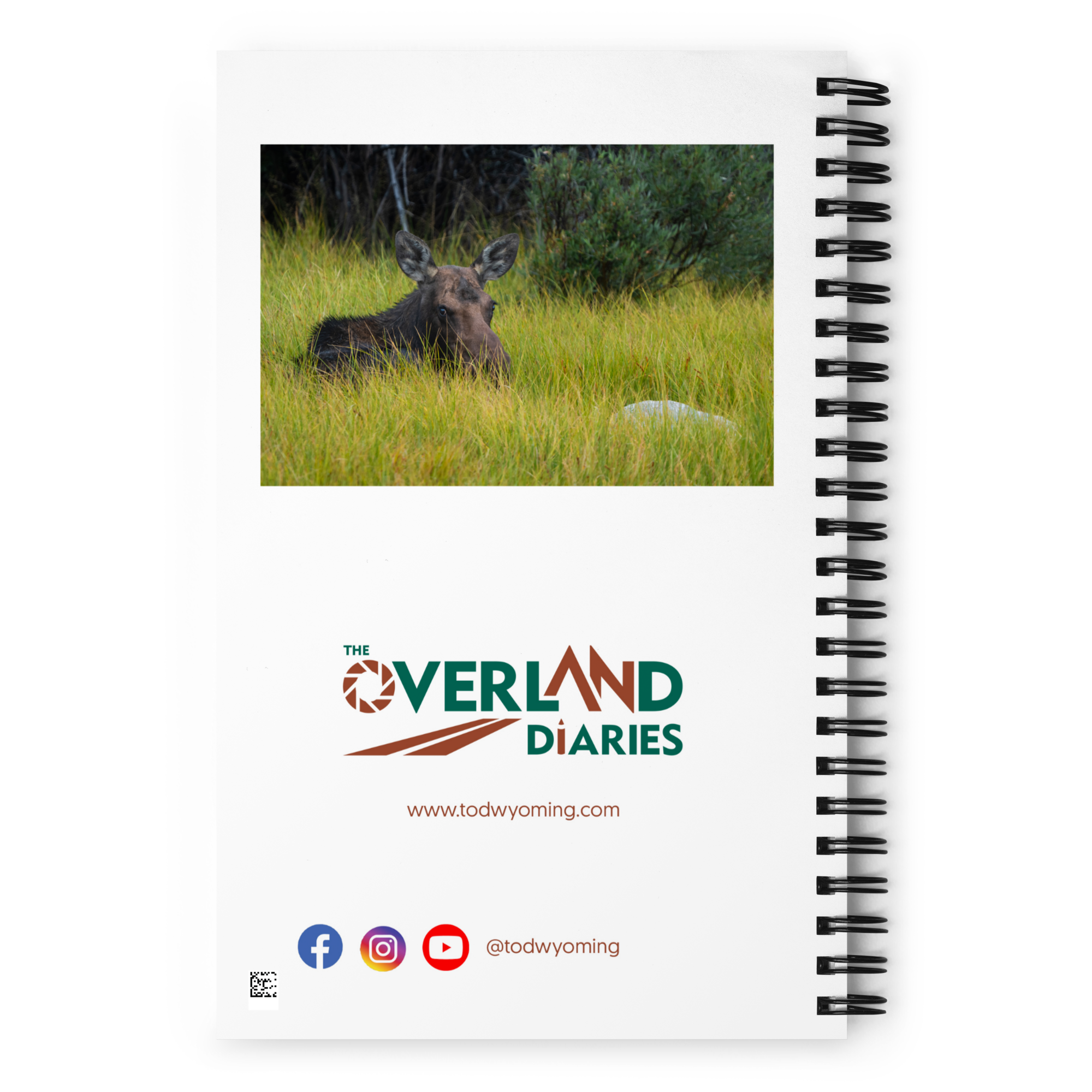 Moose Morning Notebook