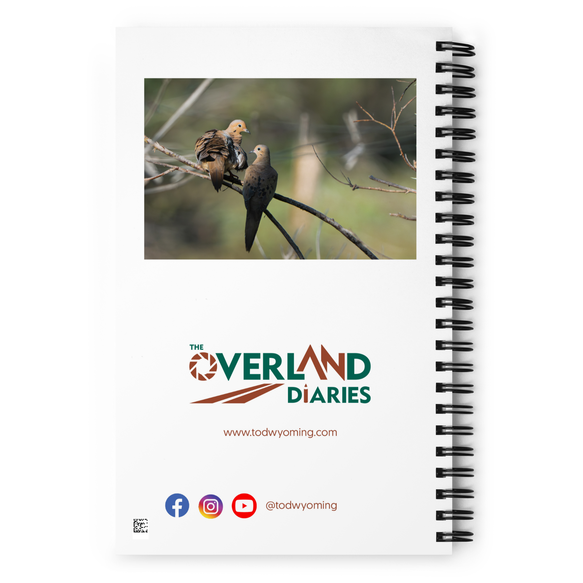 Golden Morning Mourning Dove Notebook
