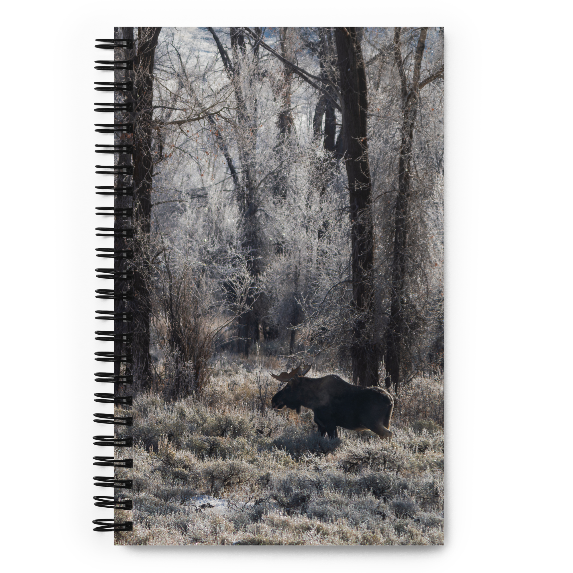 Moose Notebook: Carry Wyoming’s Wild Majesty Wherever You Go