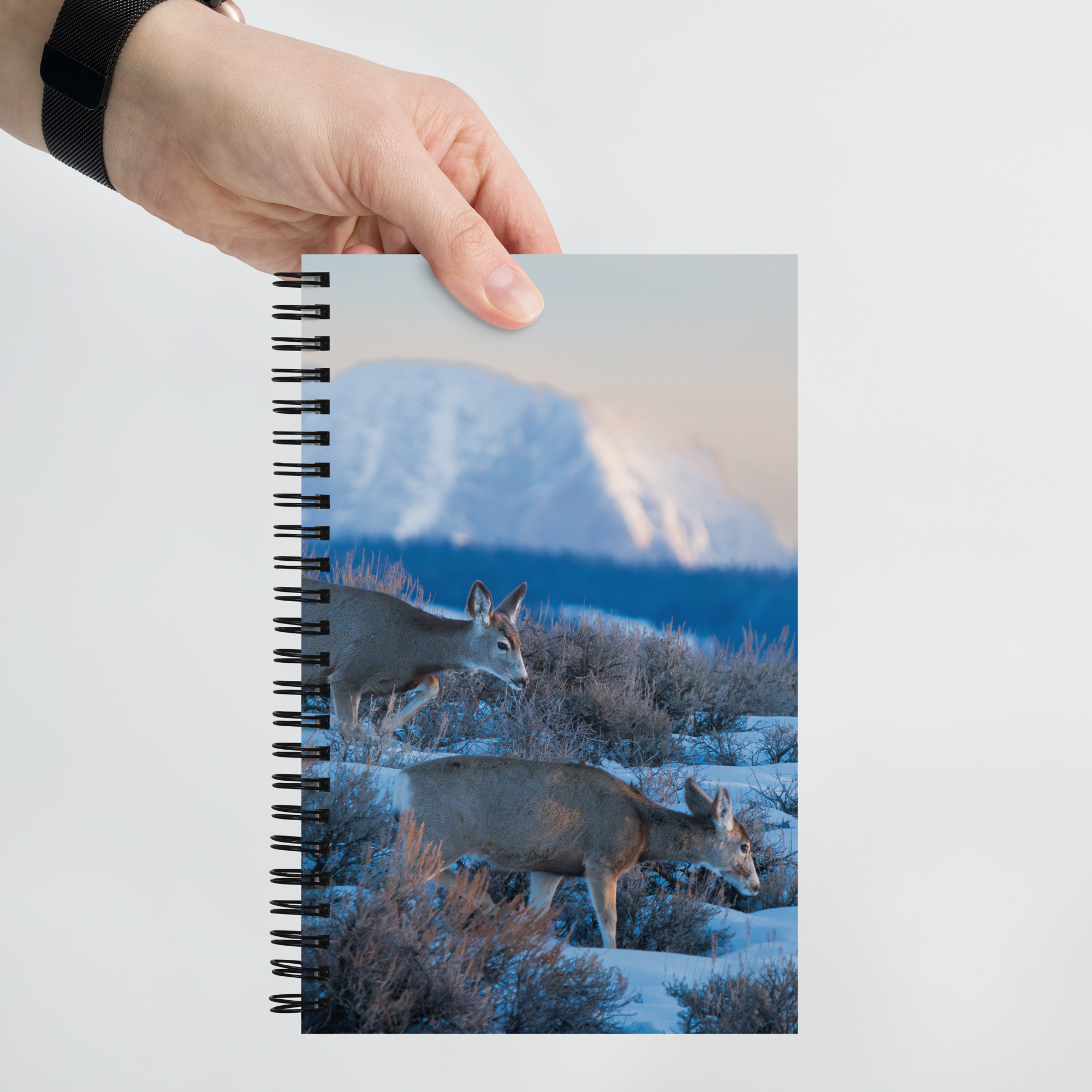 Deer in the Snow: The Notebook That Brings Wyoming Winter to Life