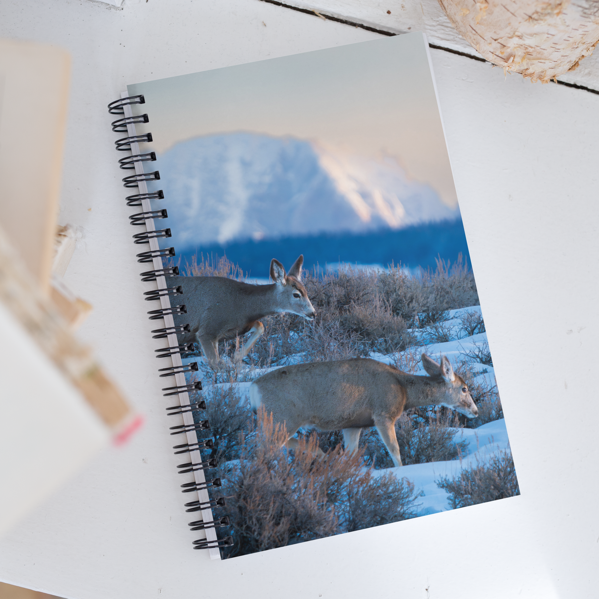 Deer in the Snow: The Notebook That Brings Wyoming Winter to Life
