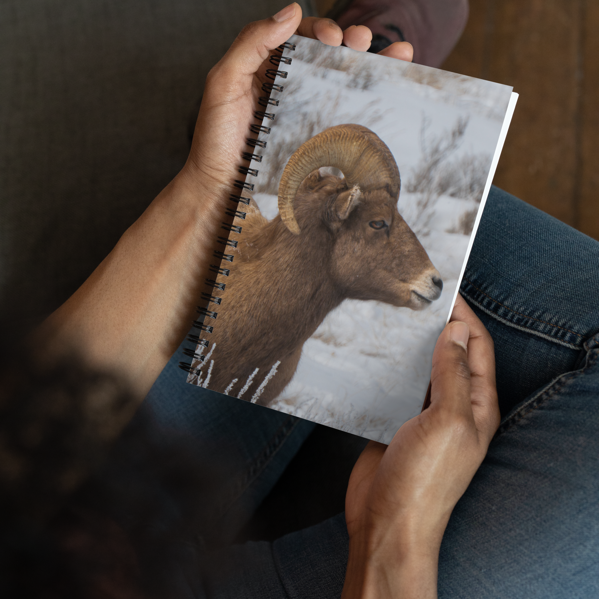 Notebook Moments with a Big Horn Sheep
