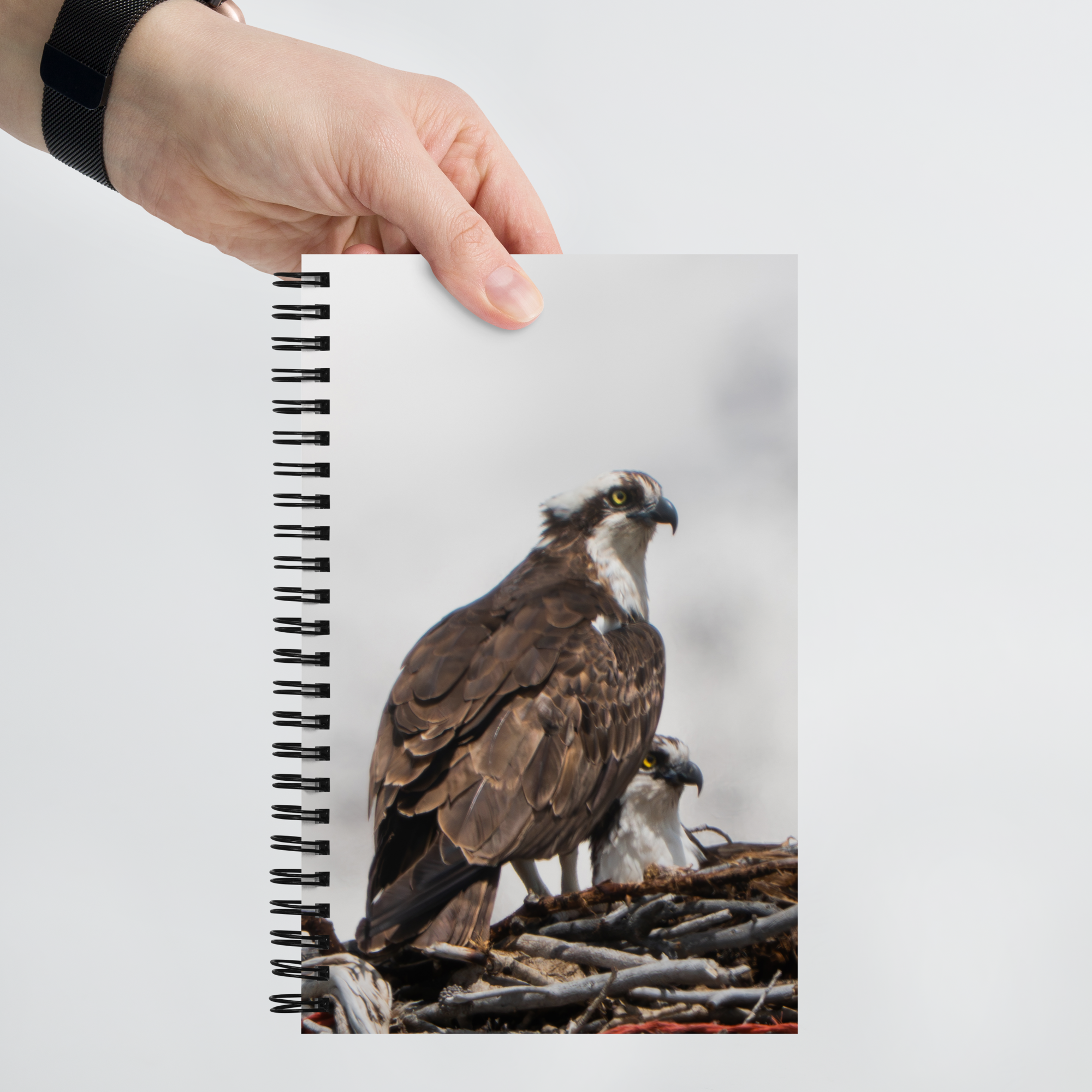 Osprey Devotion Notebook