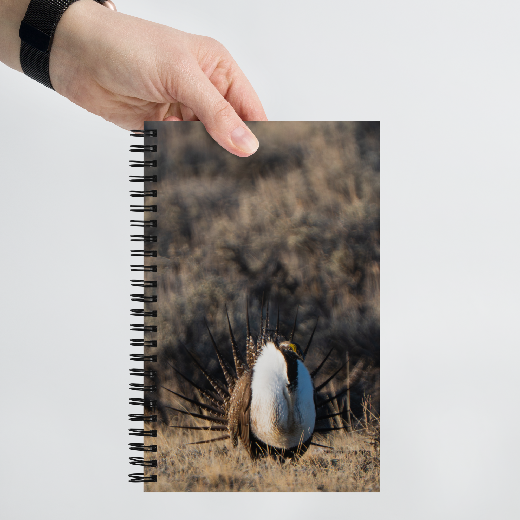 Sage Grouse Ritual Notebook