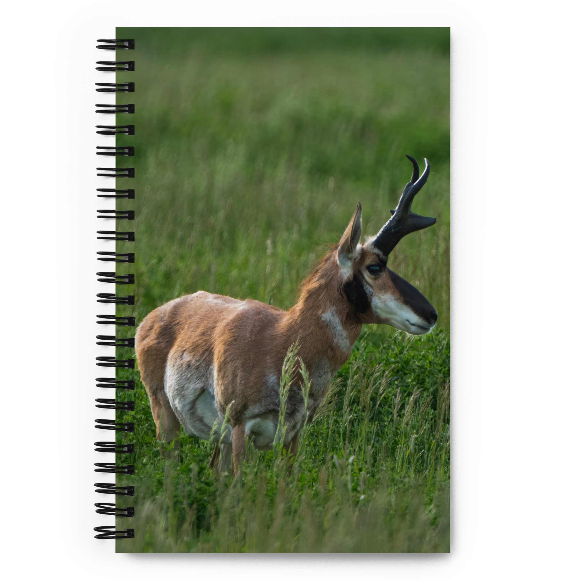 Wild Pronghorn Notebook