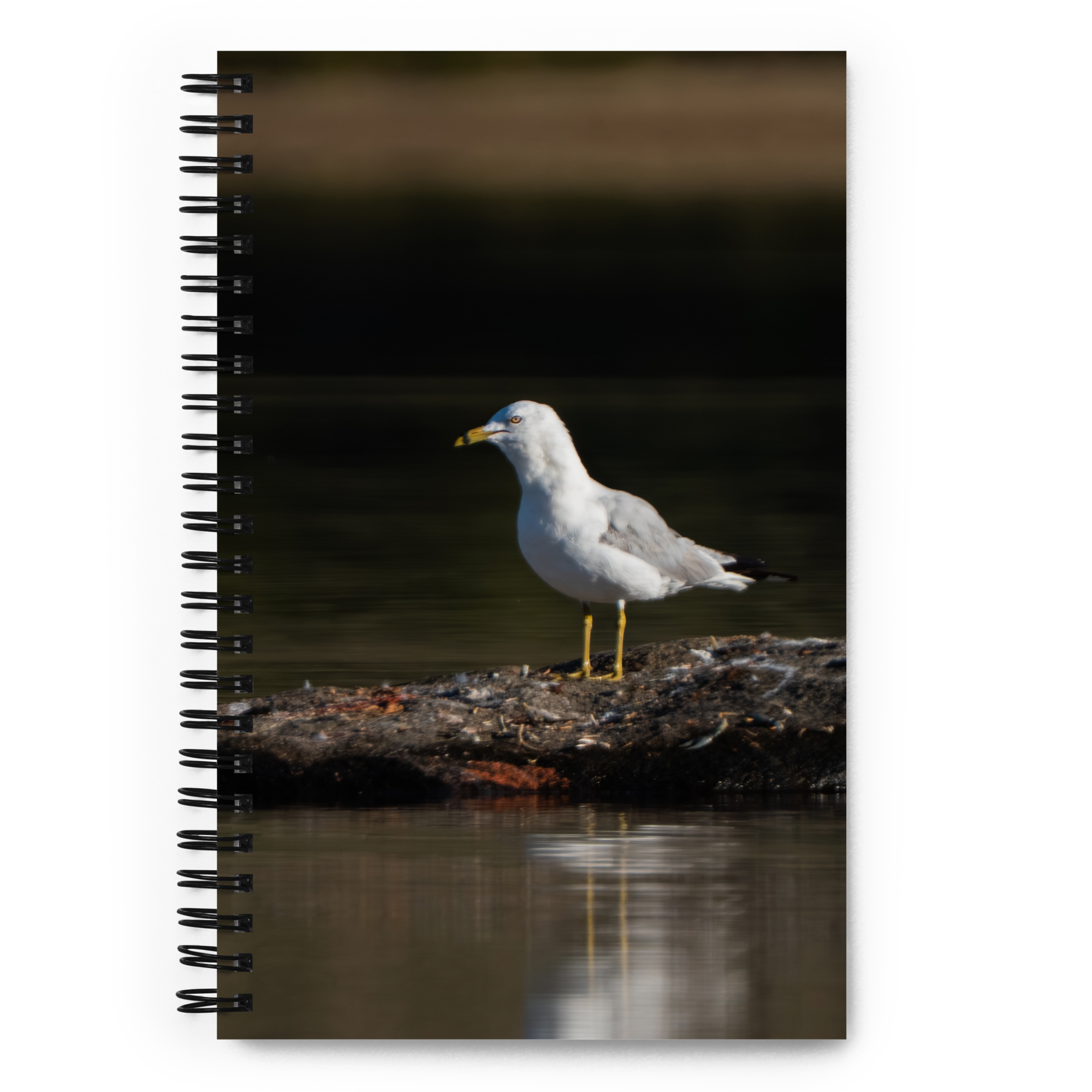 Seagull Sunrise Notebook