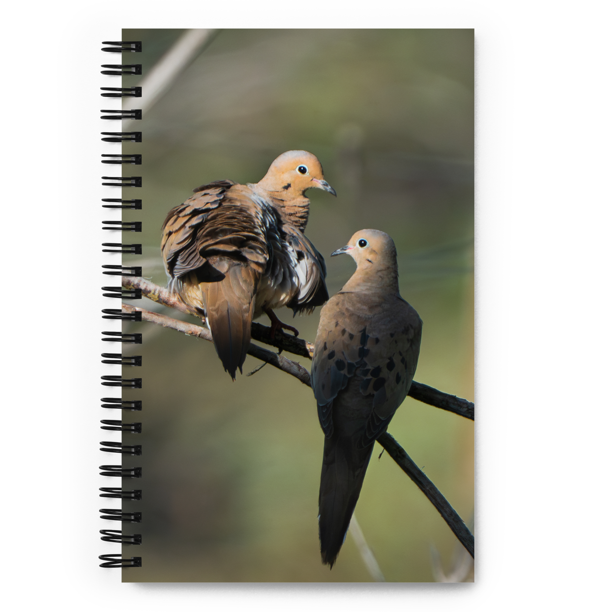 Golden Morning Mourning Dove Notebook