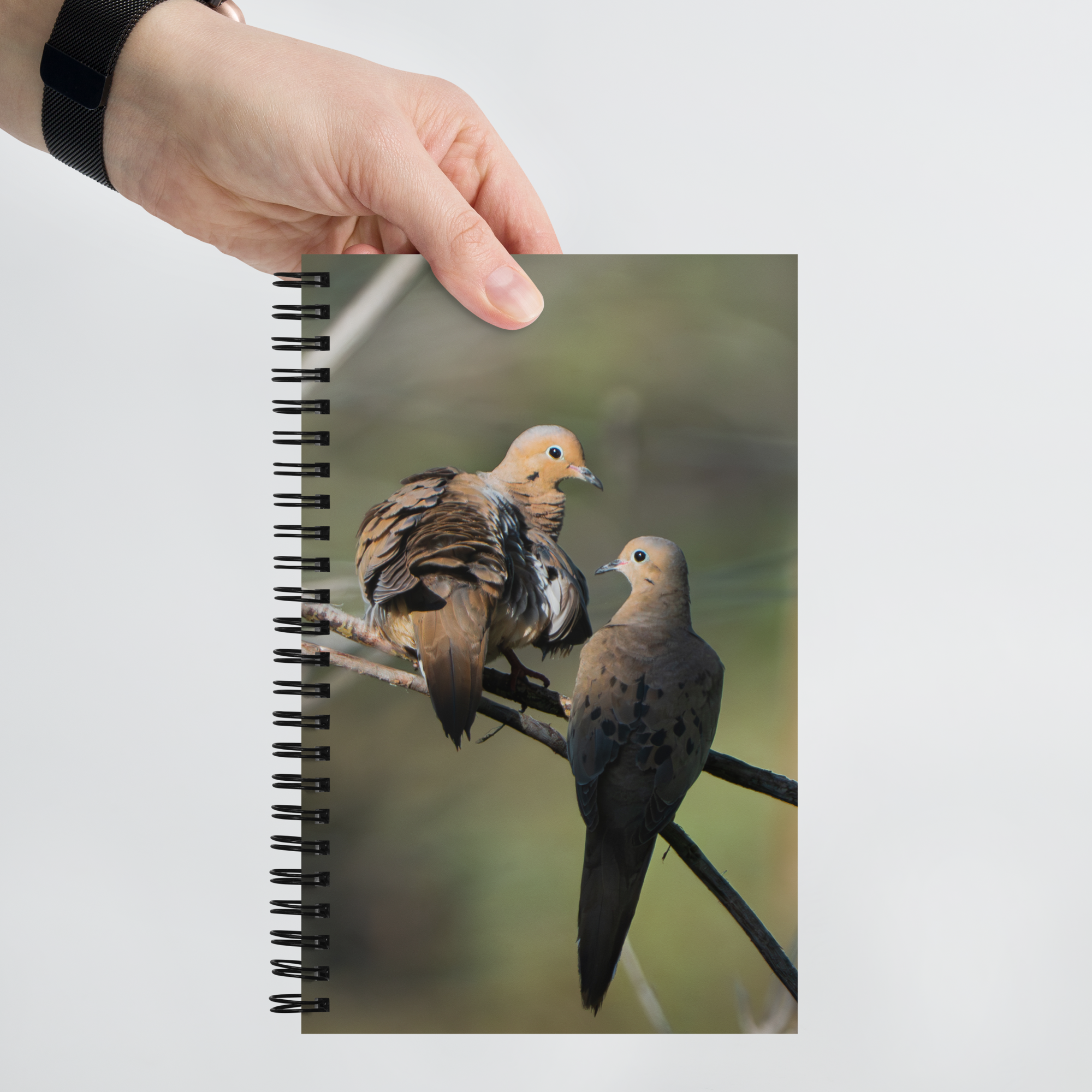 Golden Morning Mourning Dove Notebook