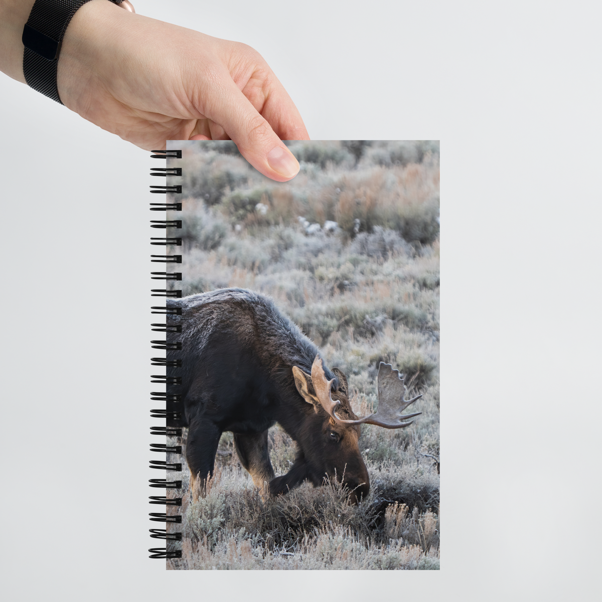 Where the Moose Roam Notebook | A Place for Your Wildest Thoughts