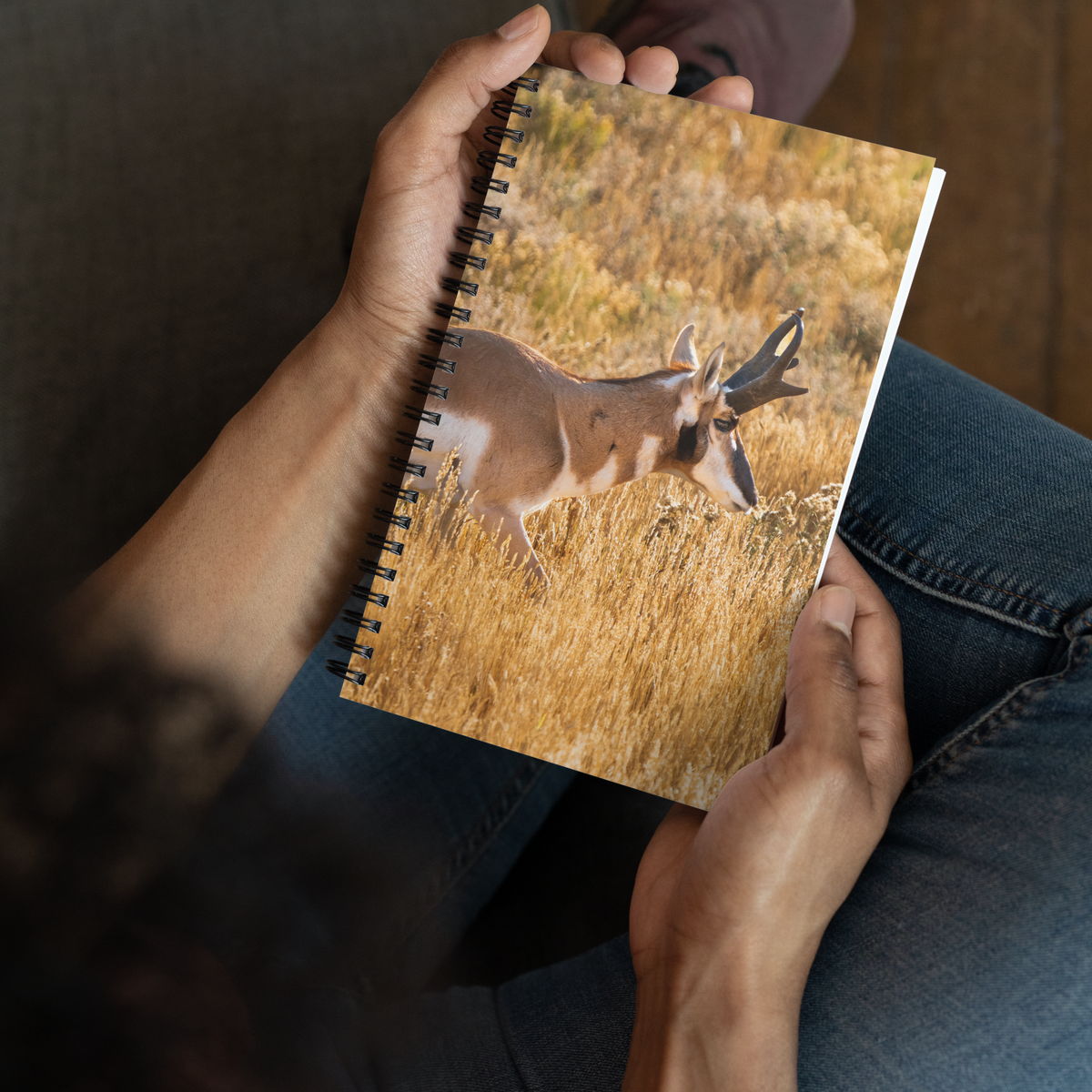 Pronghorn Notebook | Where Stillness Finds You