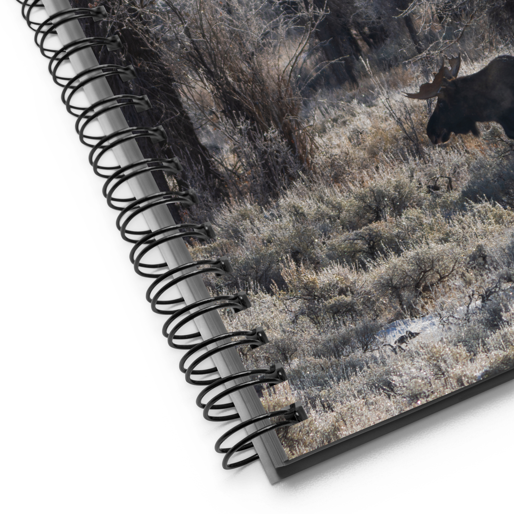 Moose Notebook: Carry Wyoming’s Wild Majesty Wherever You Go