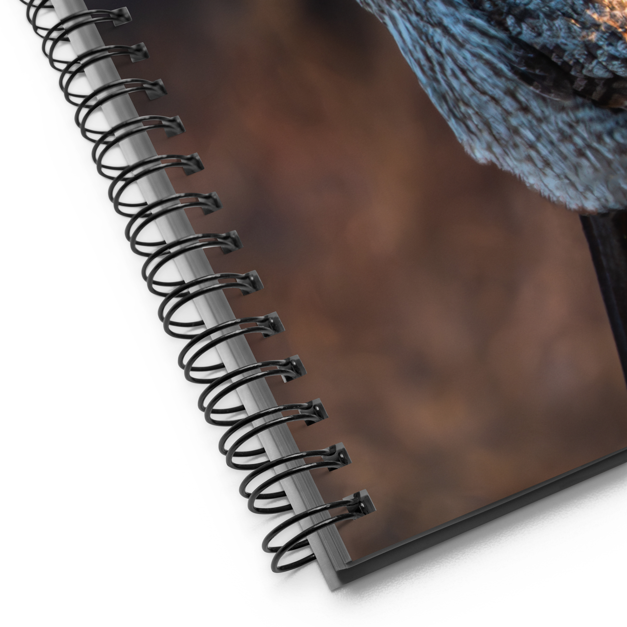 Where Night Meets Day — Owl Notebook