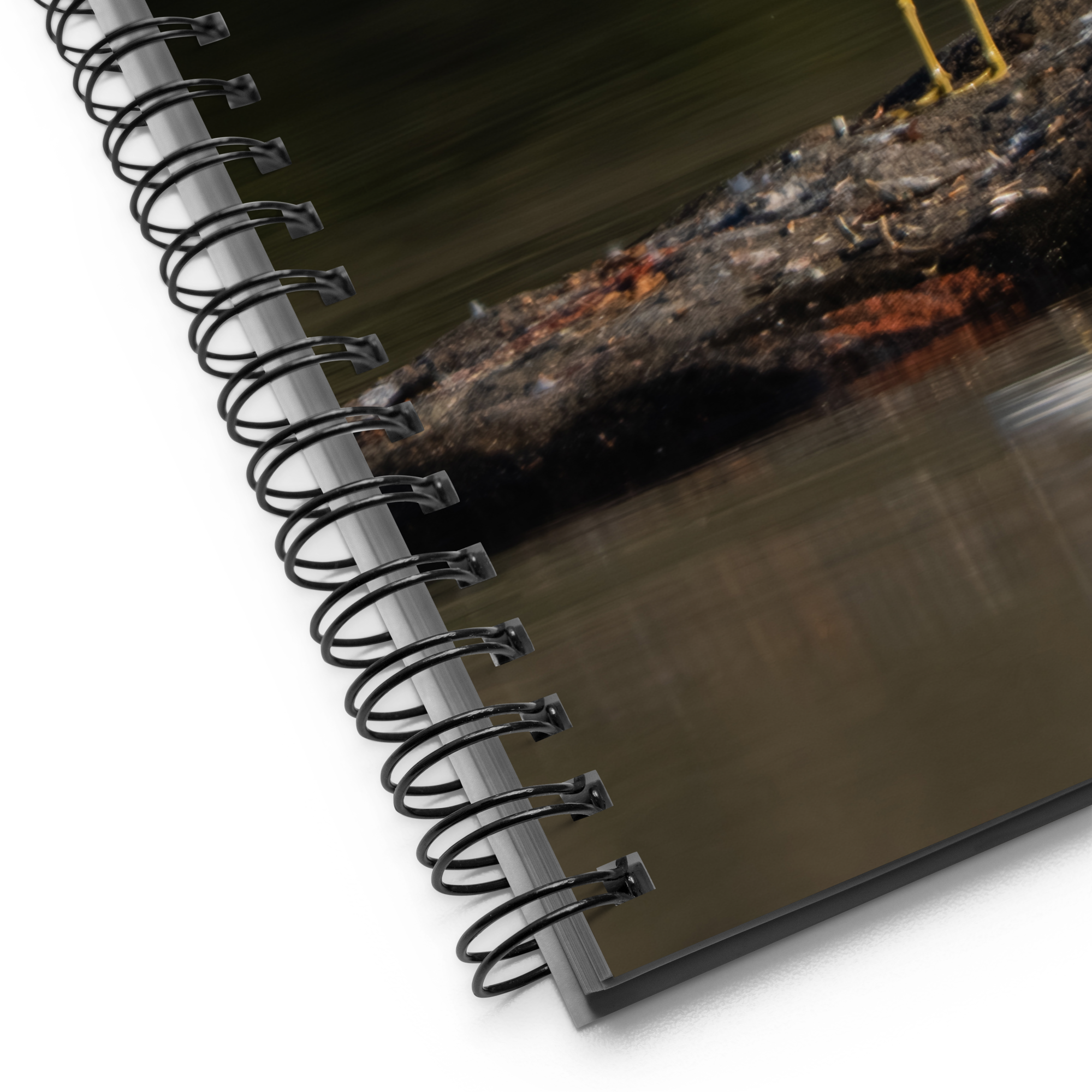 Seagull Sunrise Notebook