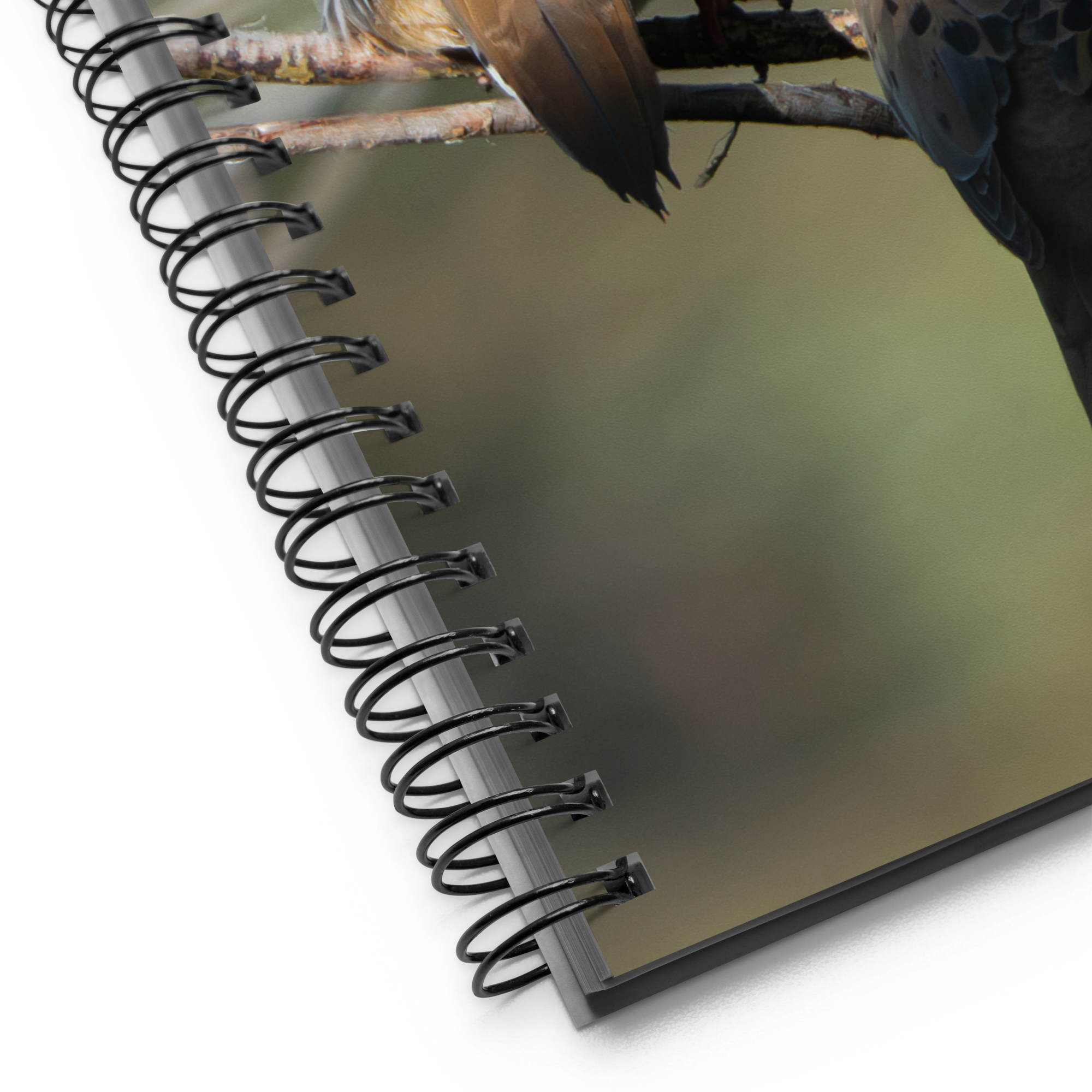 Golden Morning Mourning Dove Notebook