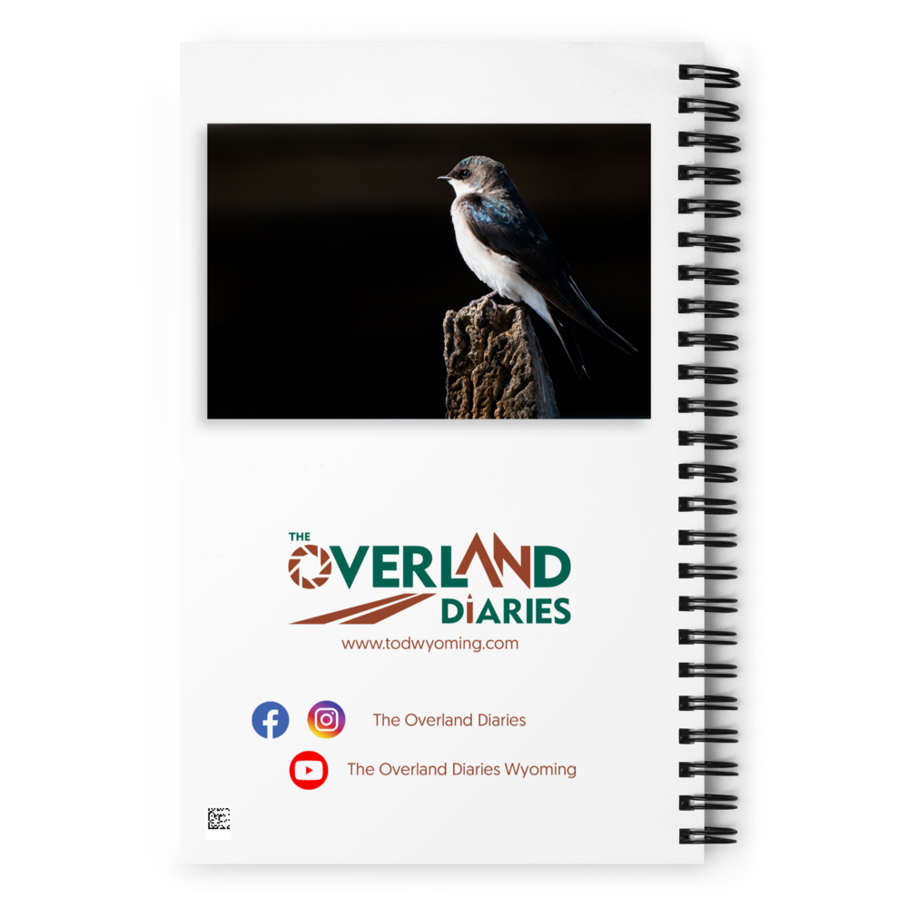 Tree Swallow Spiral notebook