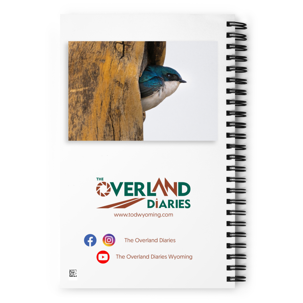 Tree Swallow Spiral notebook