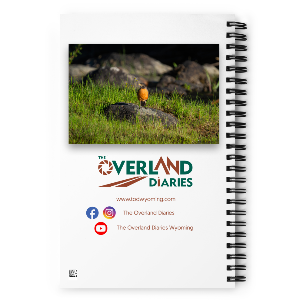 Robin Spiral notebook