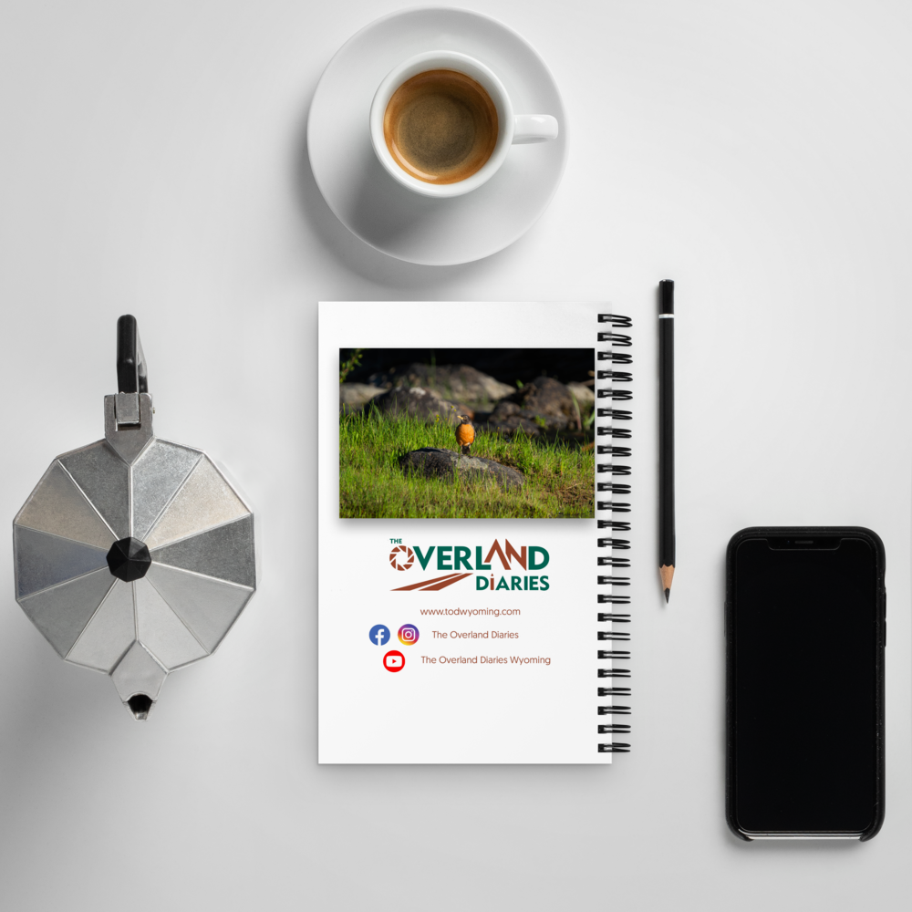 Robin Spiral notebook