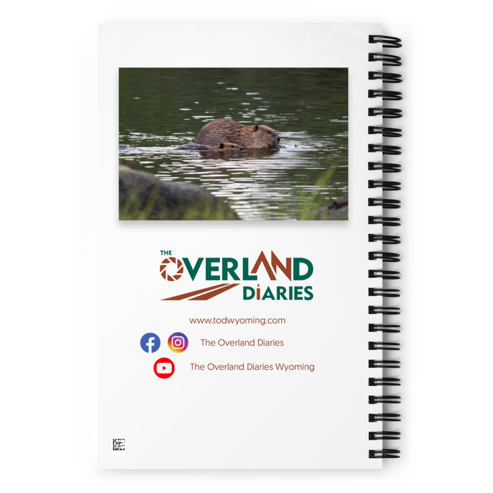Beaver Spiral notebook