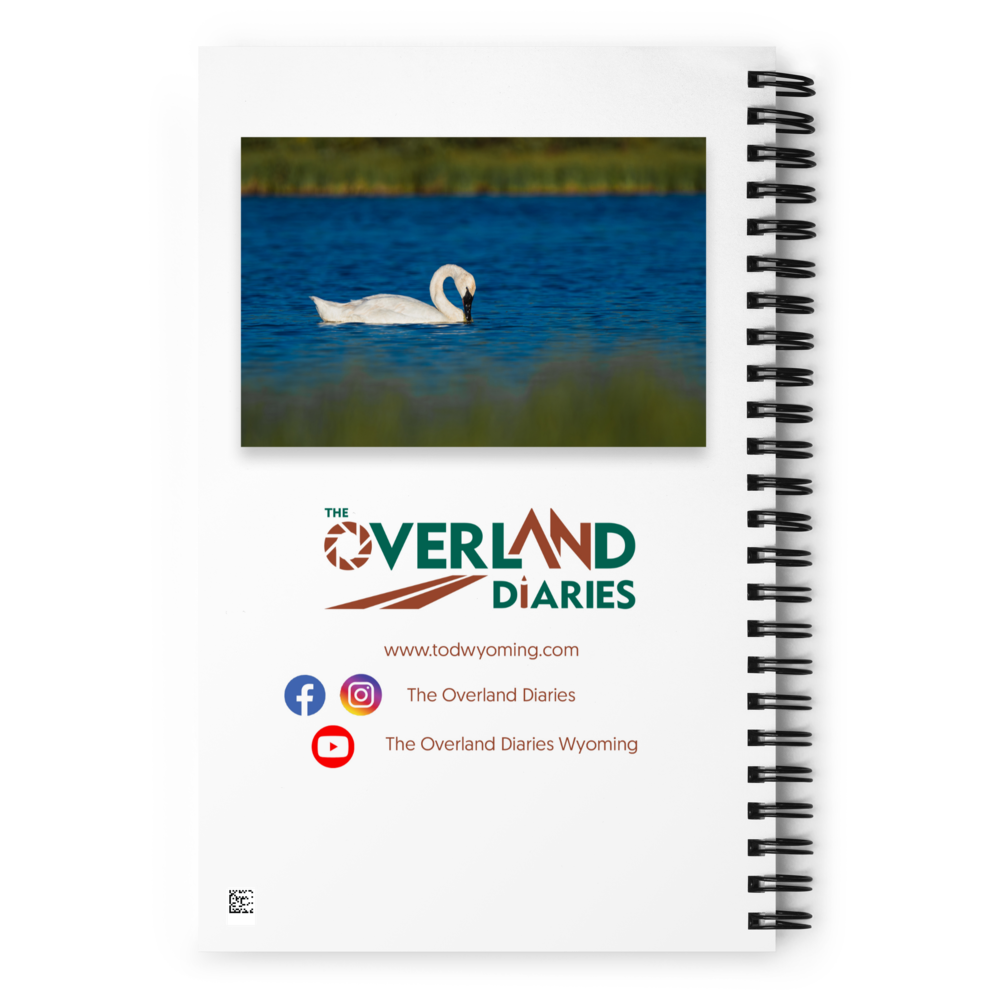 Swan Spiral notebook