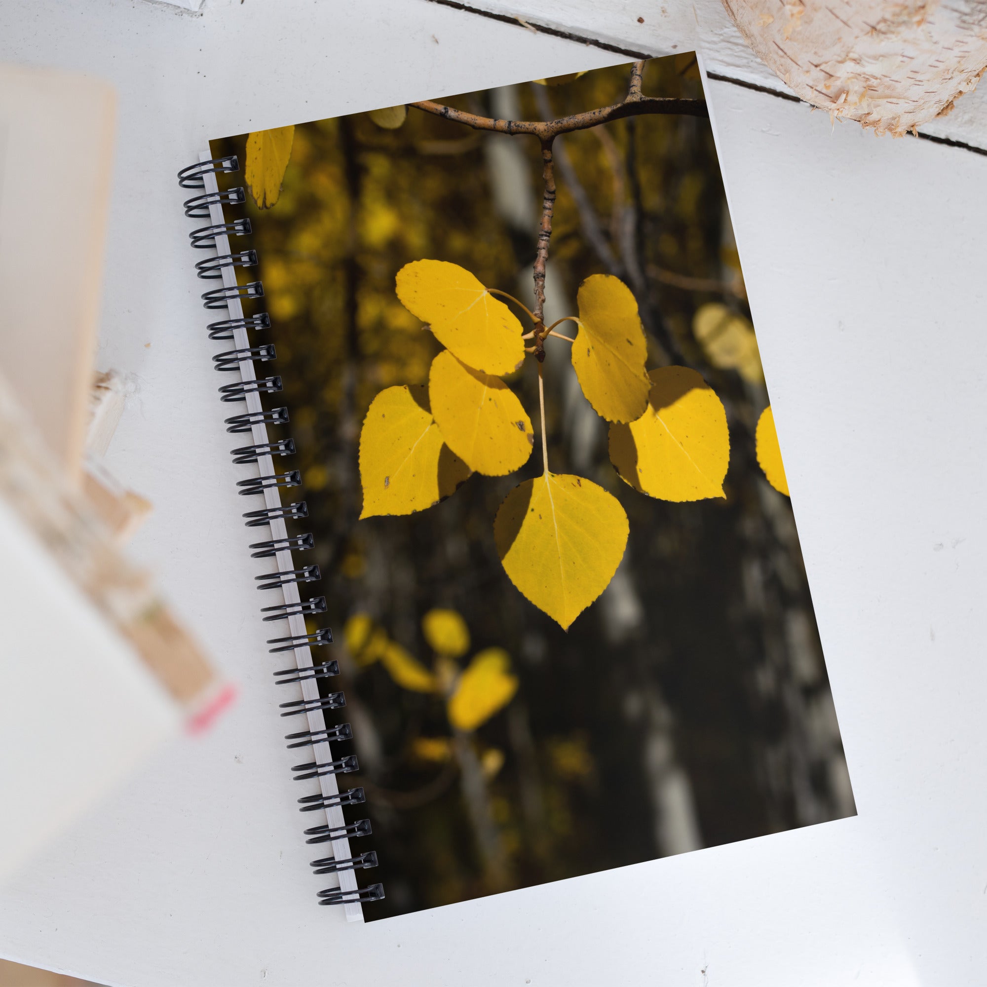 Fall Leaves Spiral Notebook