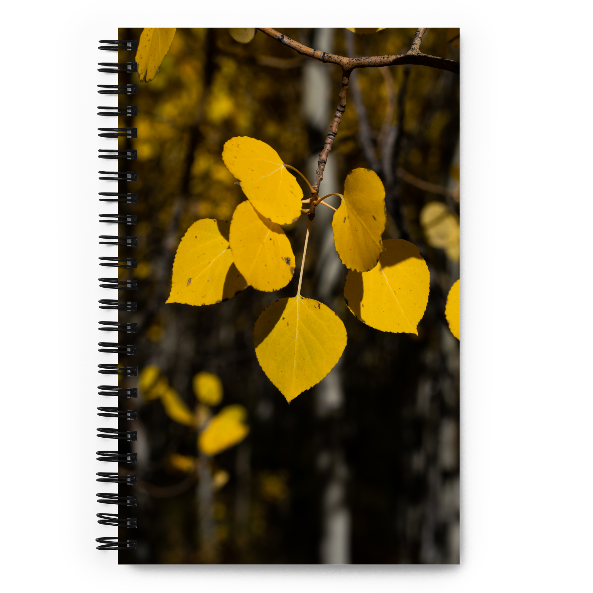 Fall Leaves Spiral Notebook