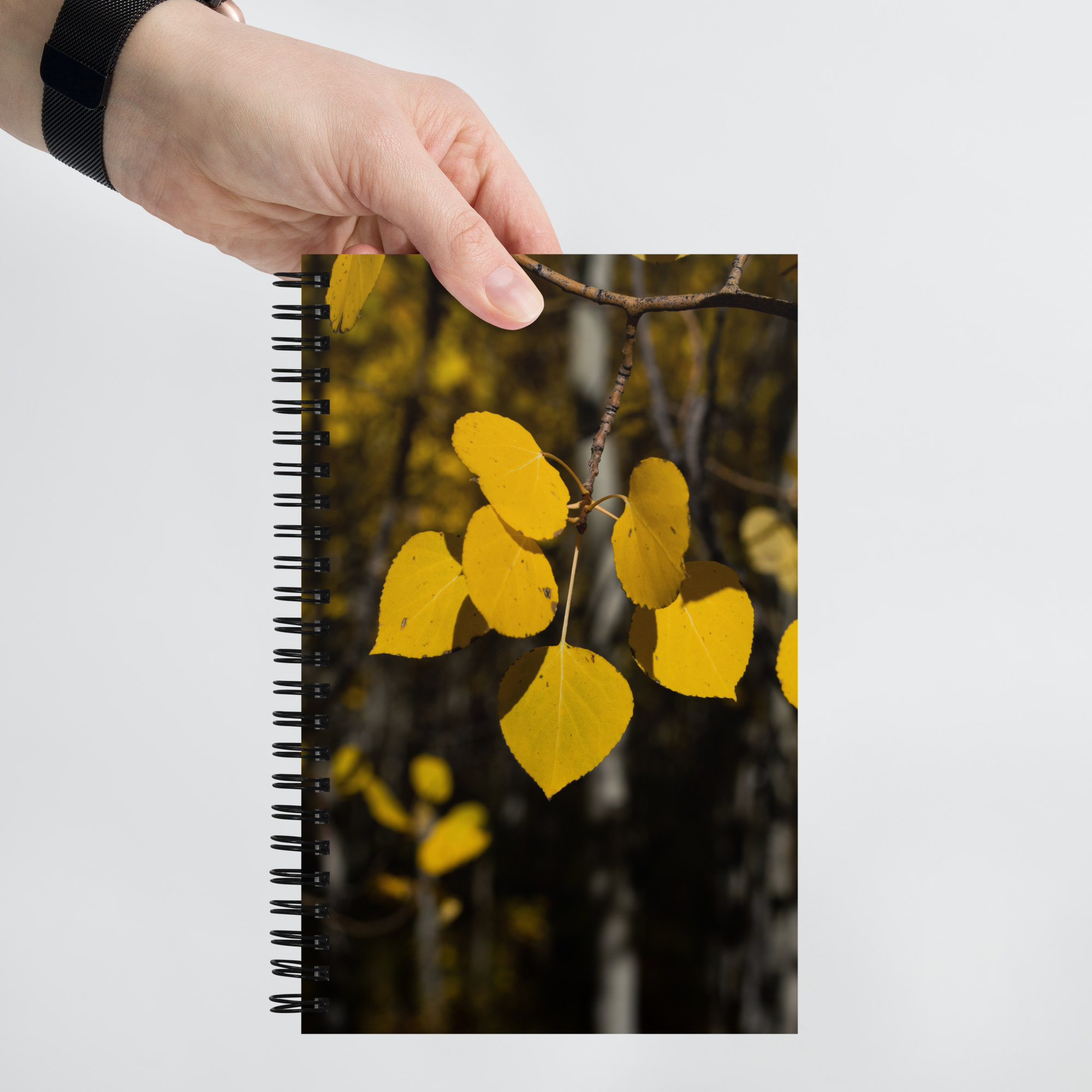 Fall Leaves Spiral Notebook
