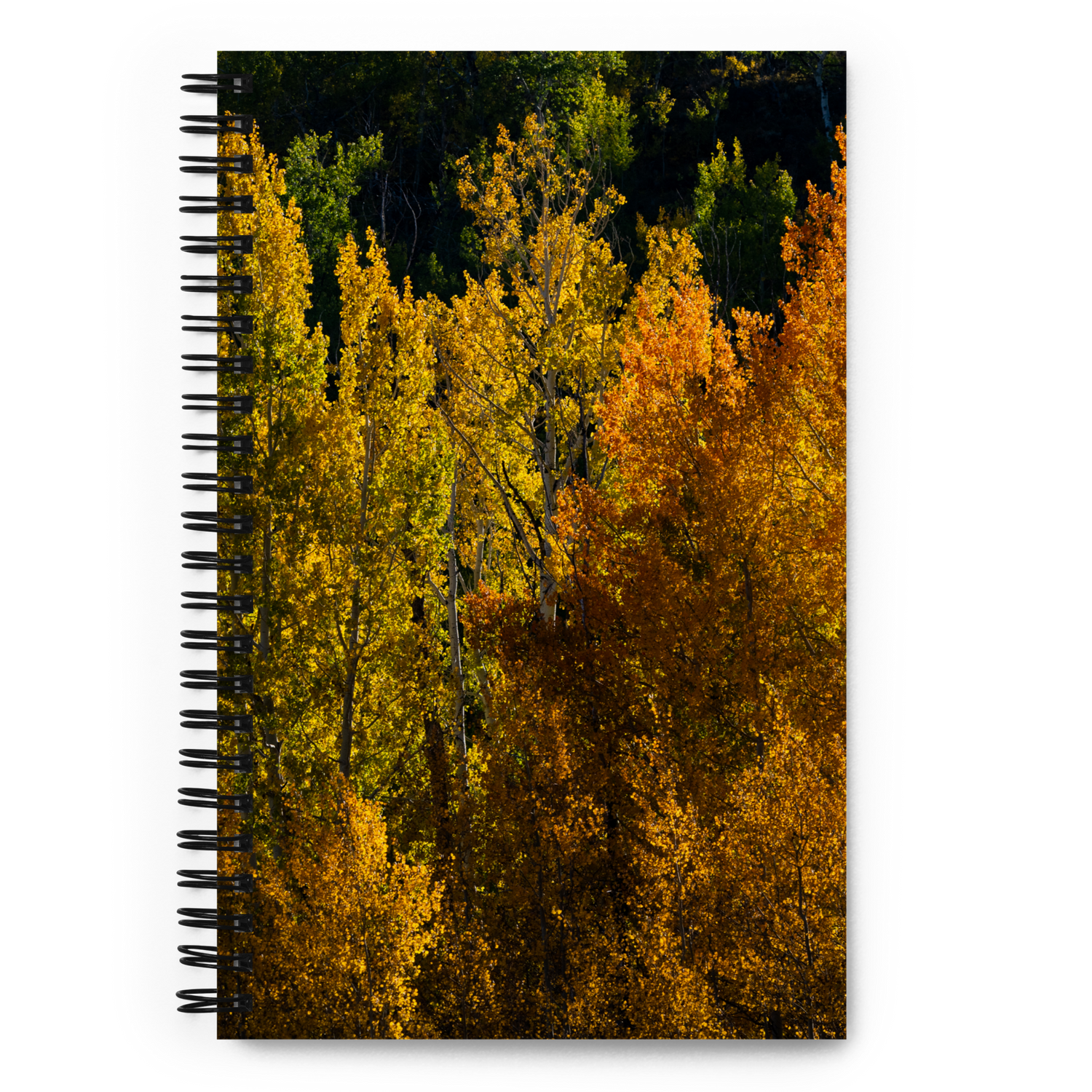 Aspens in the Fall Spiral Notebook
