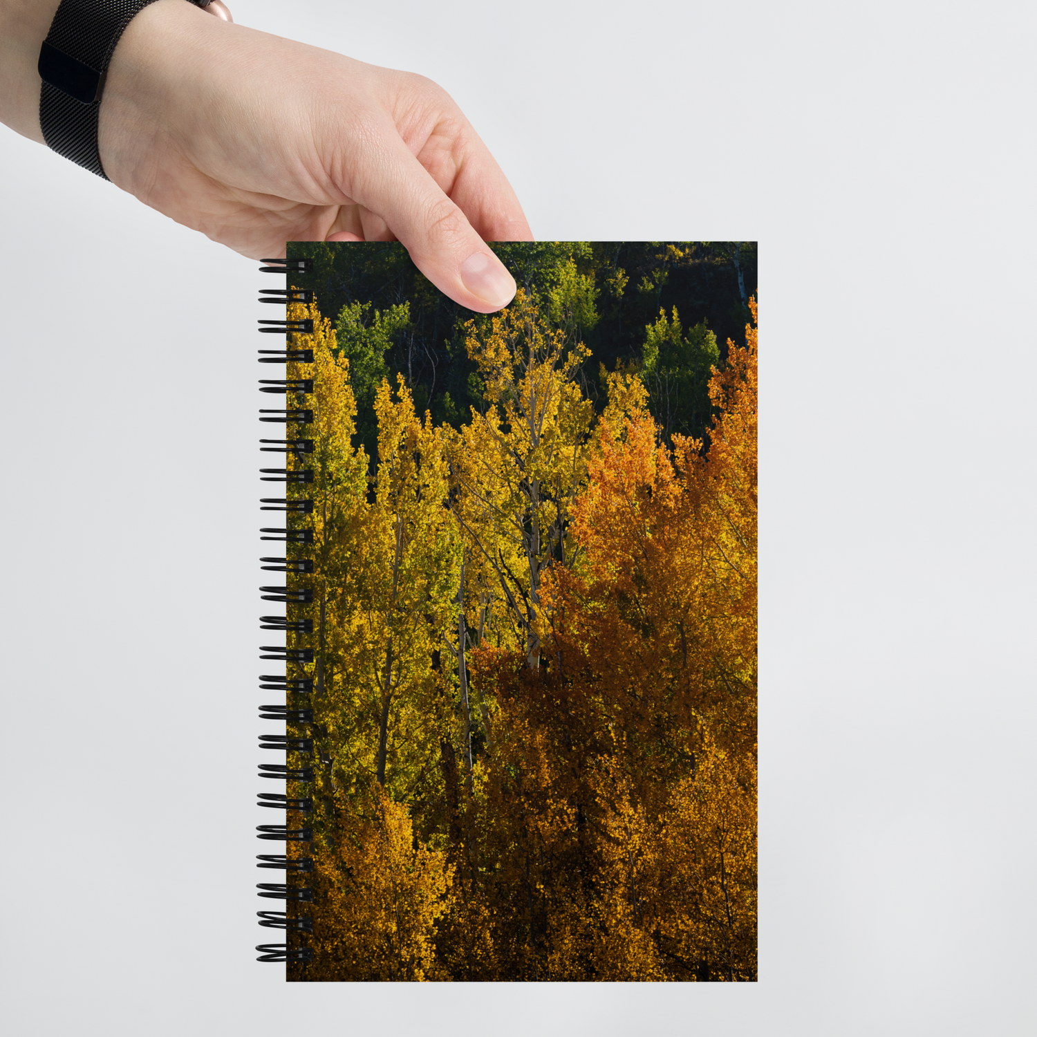 Aspens in the Fall Spiral Notebook