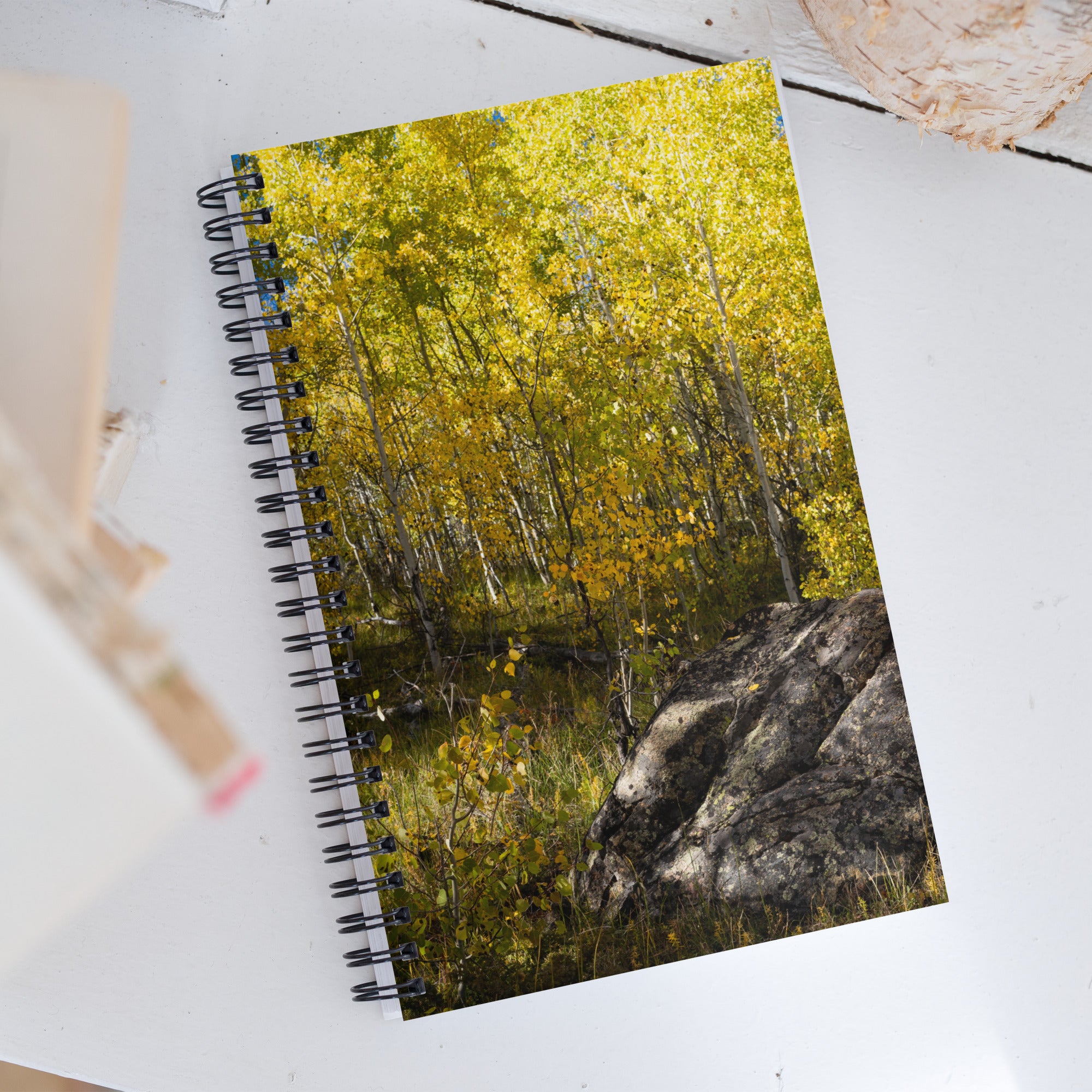 Rock With Aspens Spiral Notebook