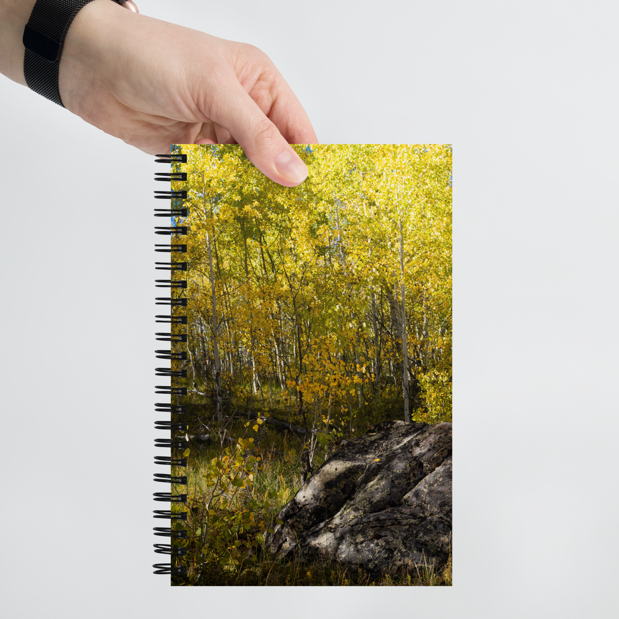 Rock With Aspens Spiral Notebook