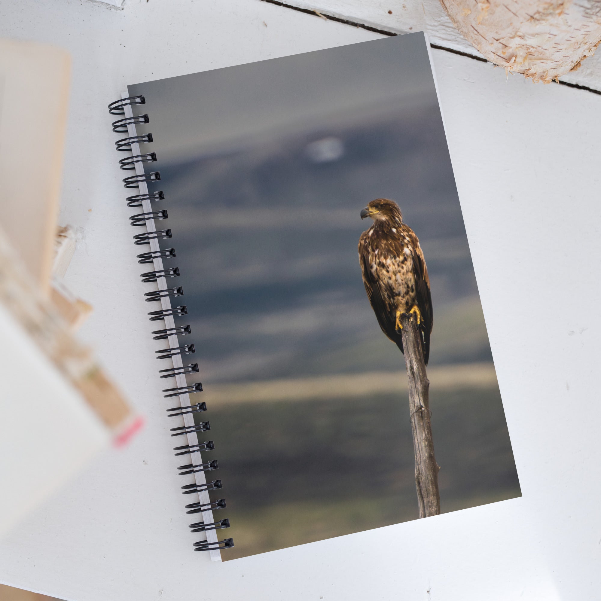 Young Bald Eagle Spiral notebook