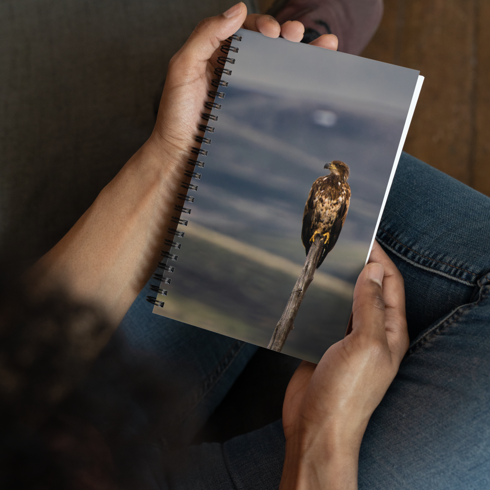 Young Bald Eagle Spiral notebook