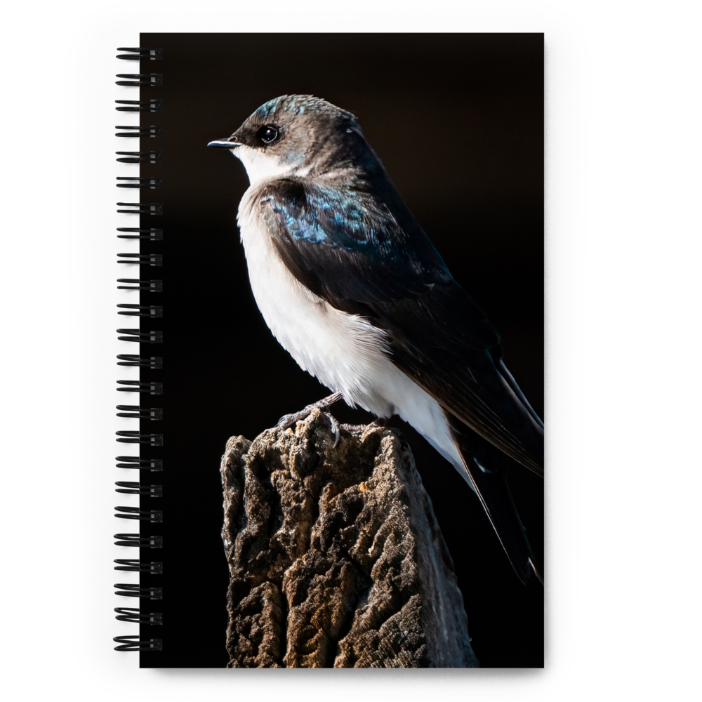 Tree Swallow Spiral notebook