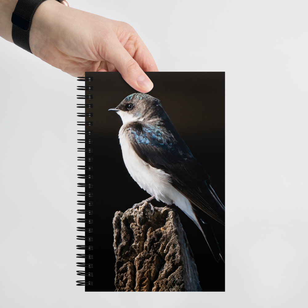 Tree Swallow Spiral notebook