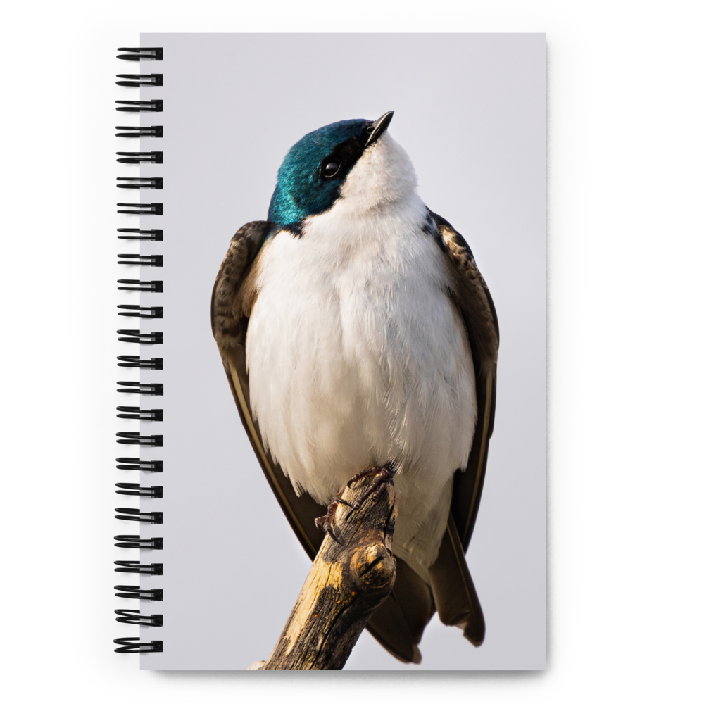 Tree Swallow Spiral notebook