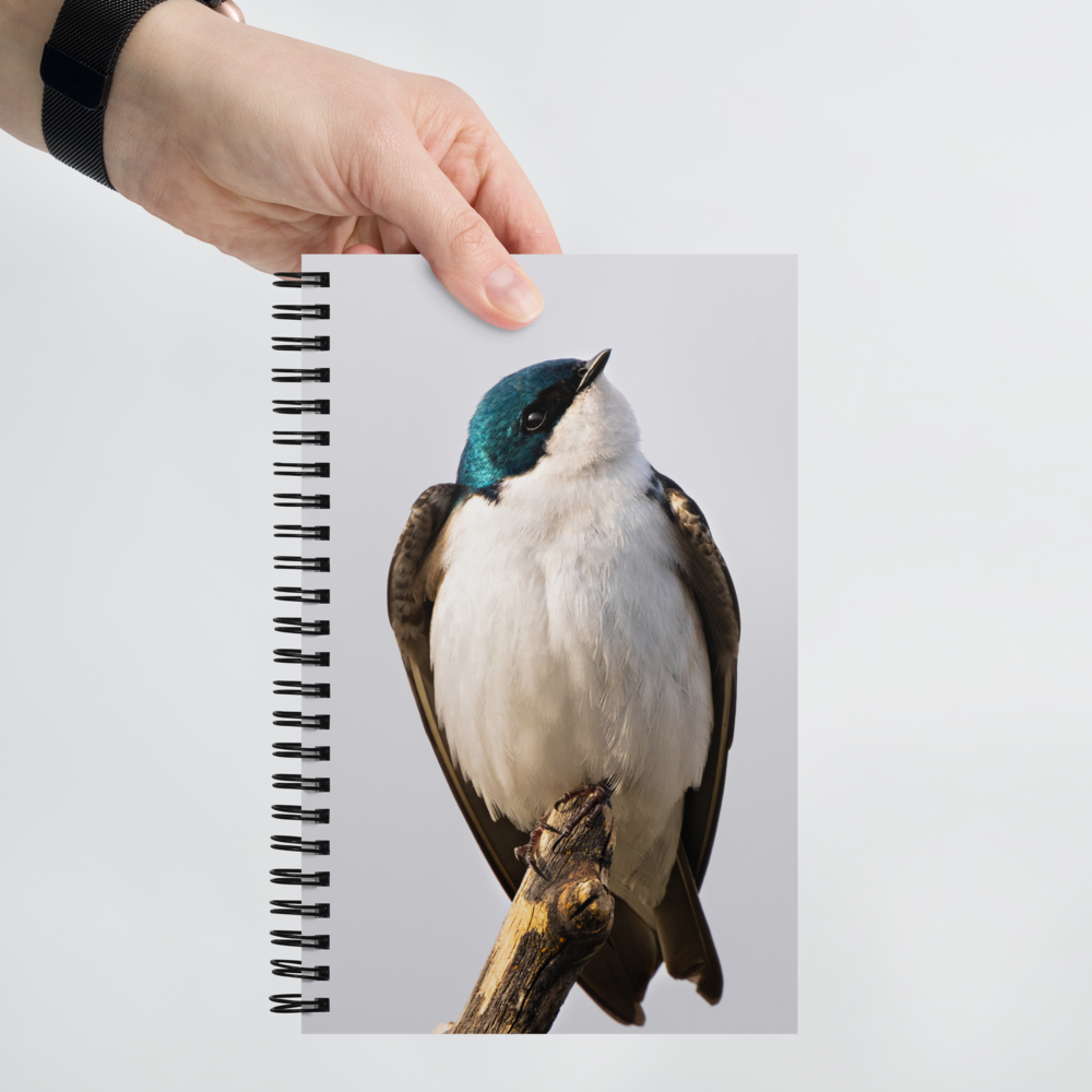 Tree Swallow Spiral notebook