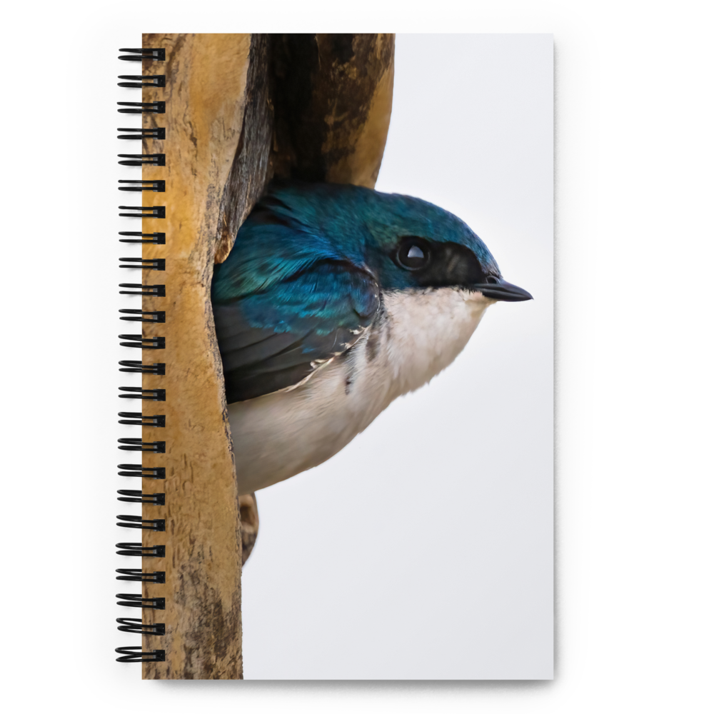 Tree Swallow Spiral notebook