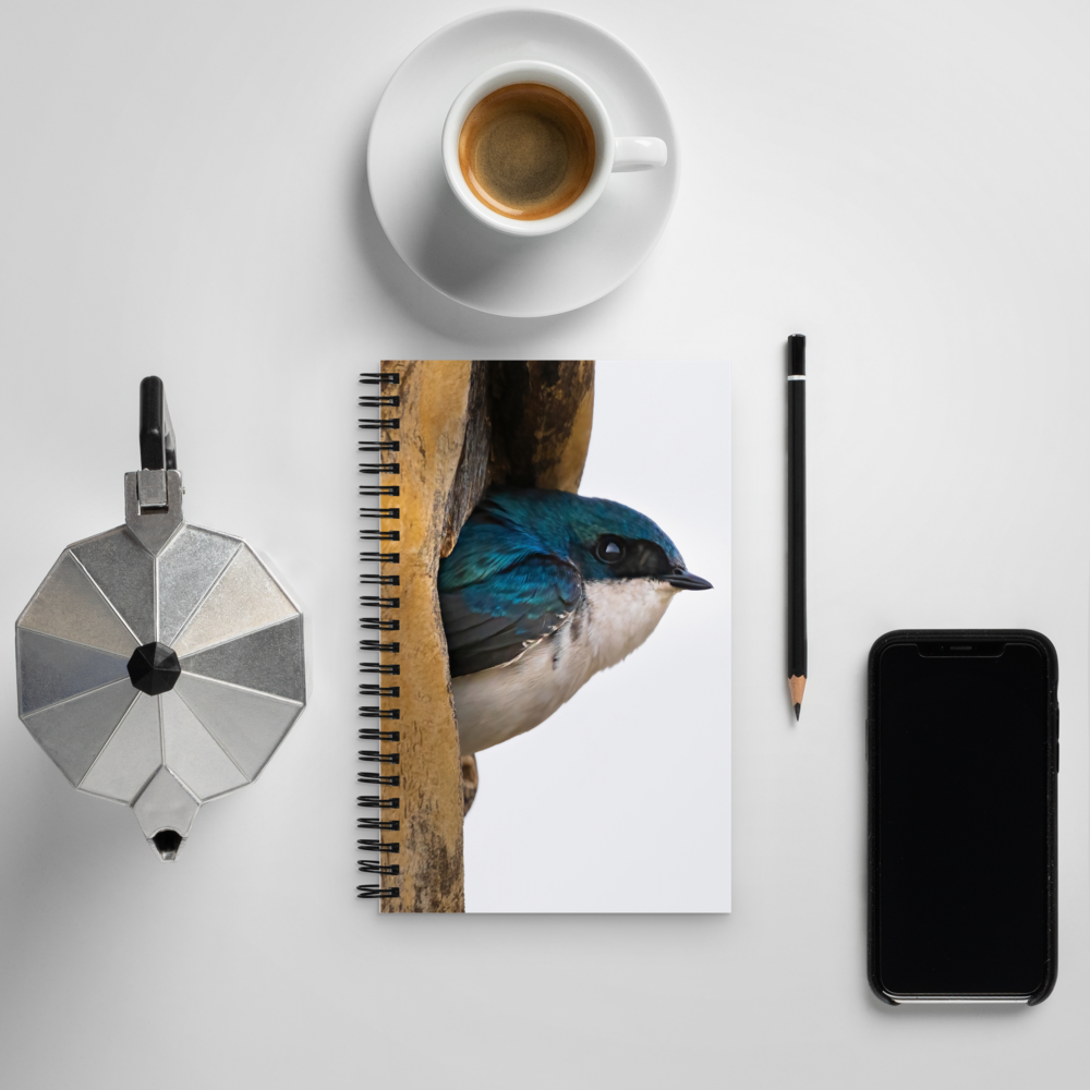 Tree Swallow Spiral notebook