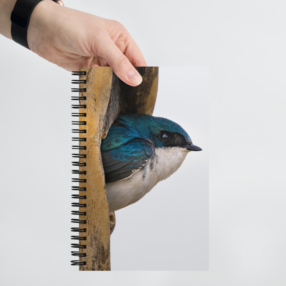 Tree Swallow Spiral notebook