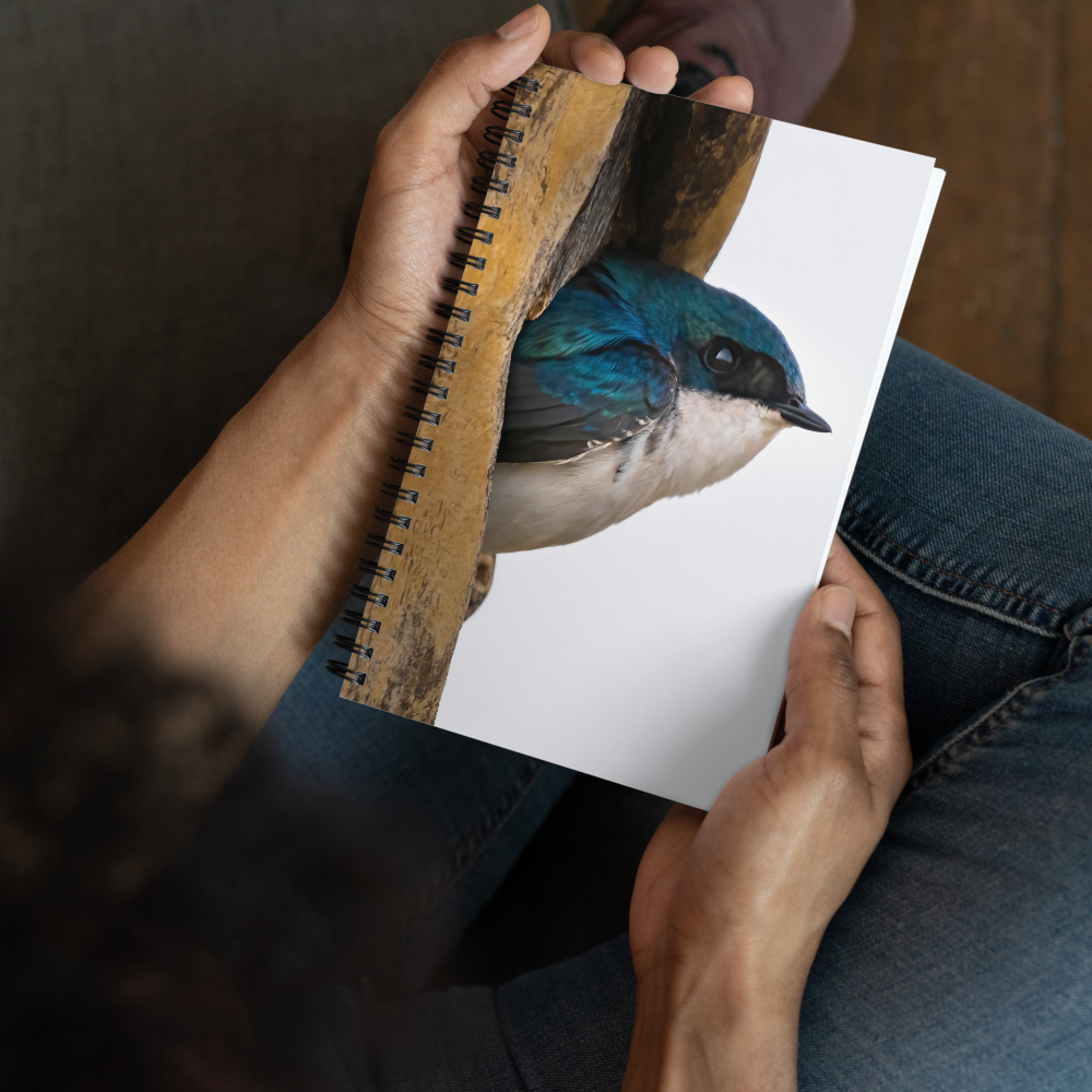 Tree Swallow Spiral notebook