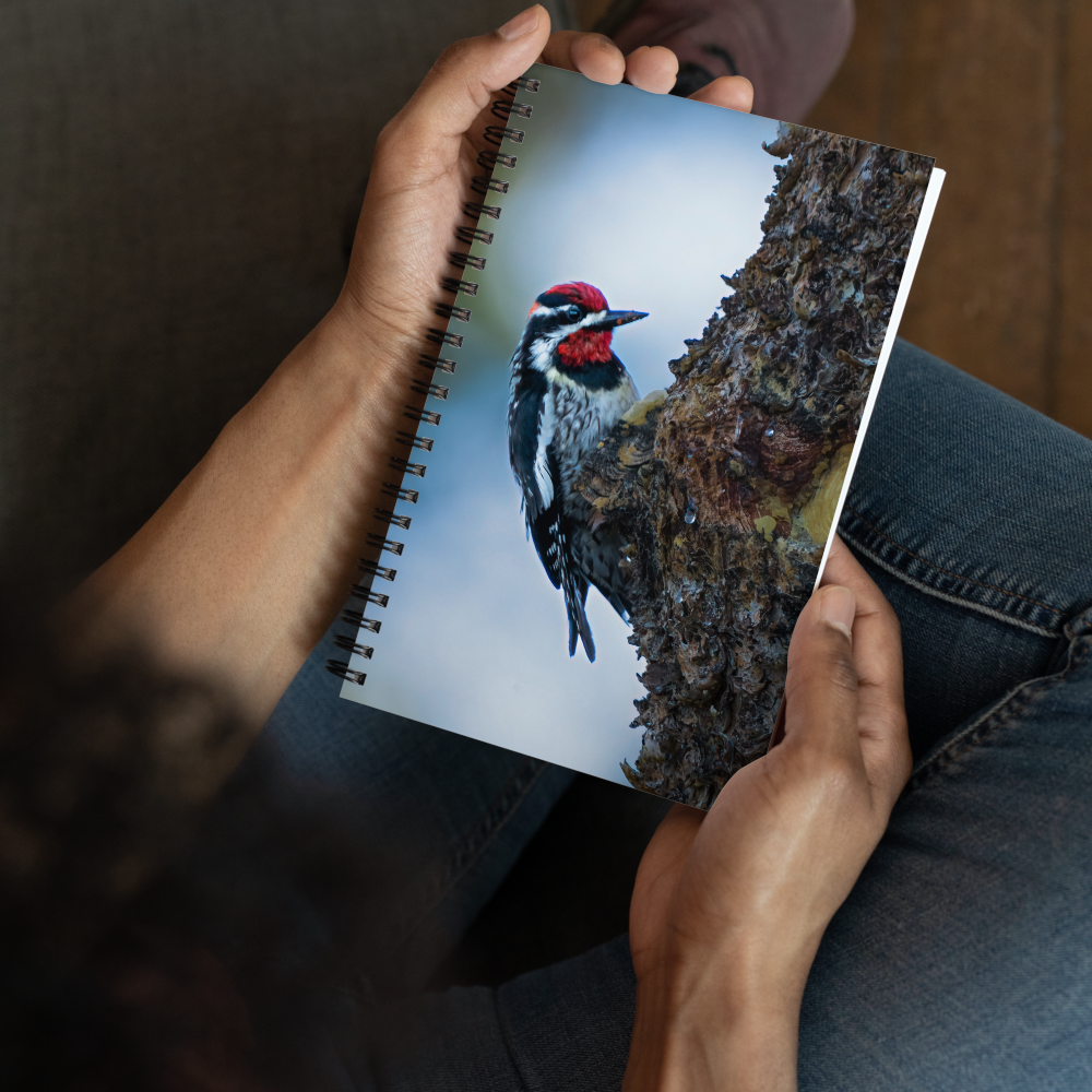 Woodpecker Spiral notebook