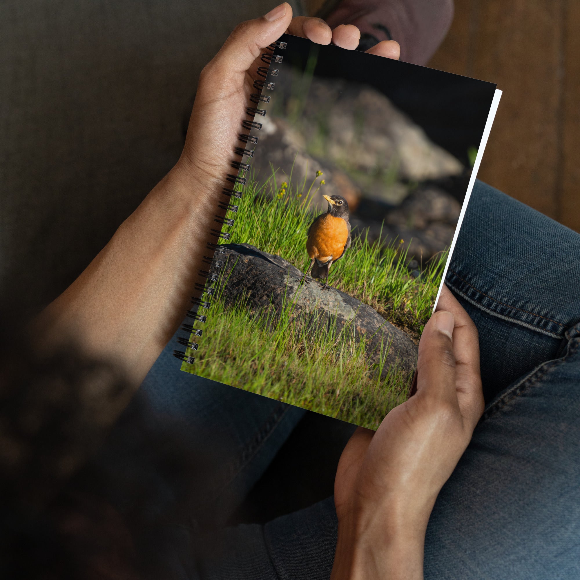 Robin Spiral notebook