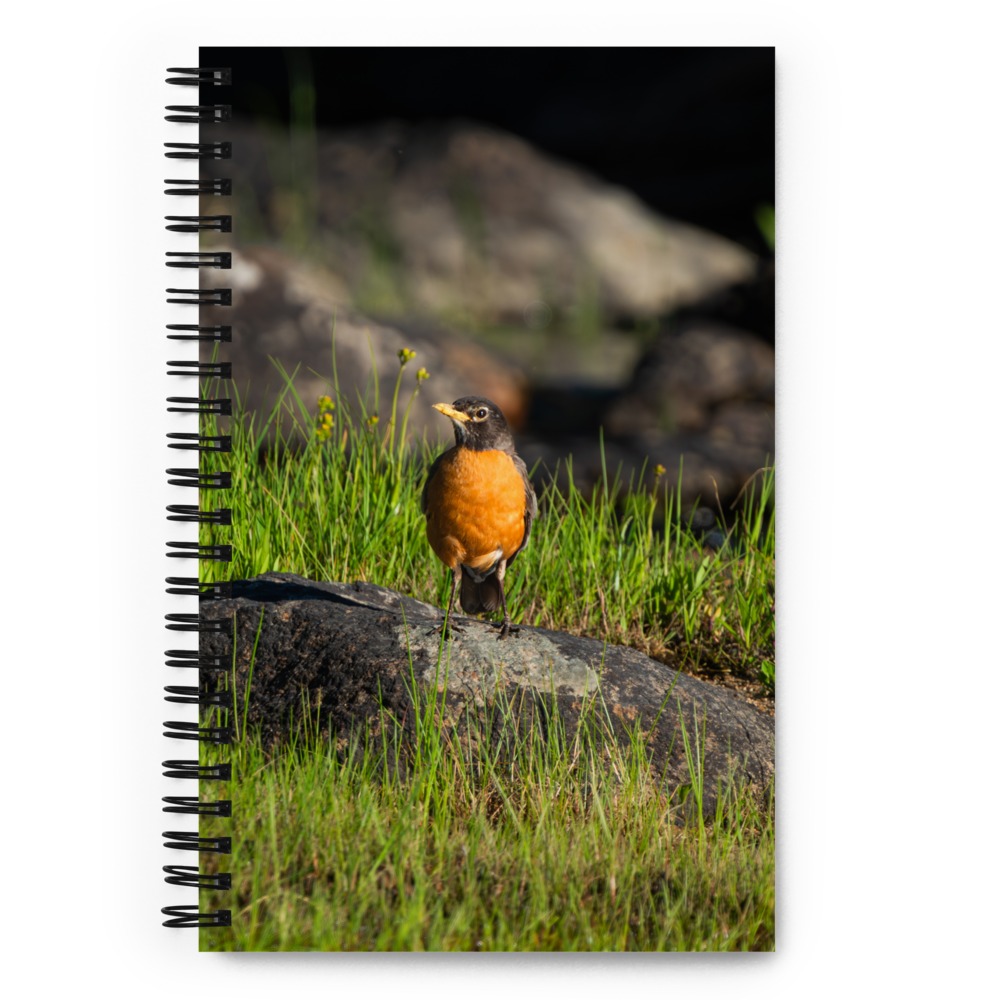 Robin Spiral notebook