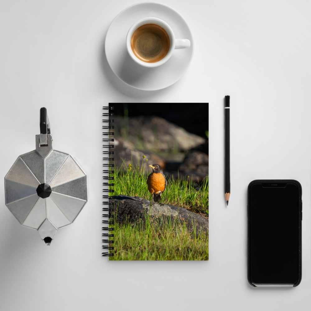 Robin Spiral notebook