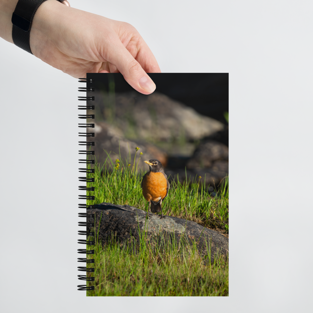 Robin Spiral notebook