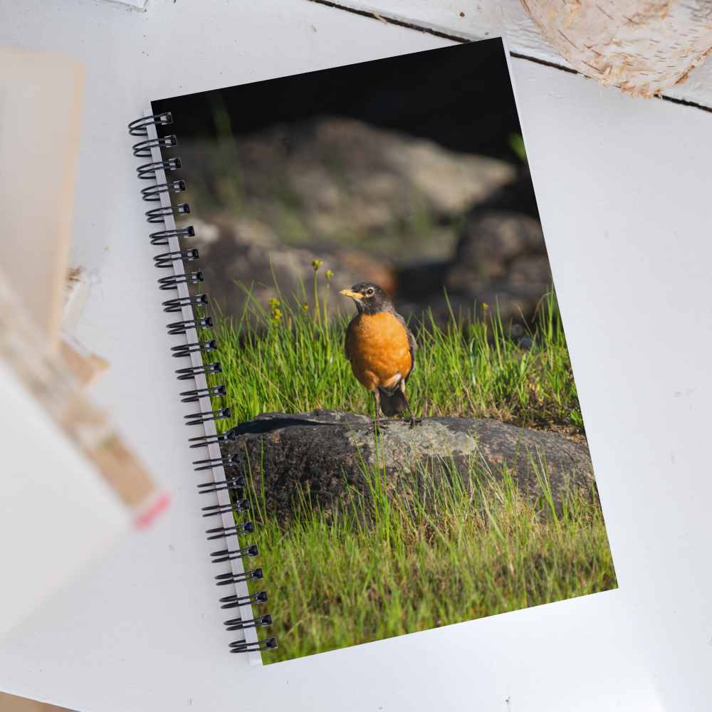 Robin Spiral notebook