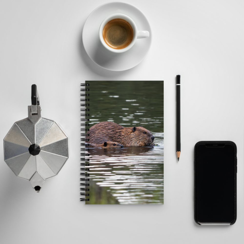 Beaver Spiral notebook