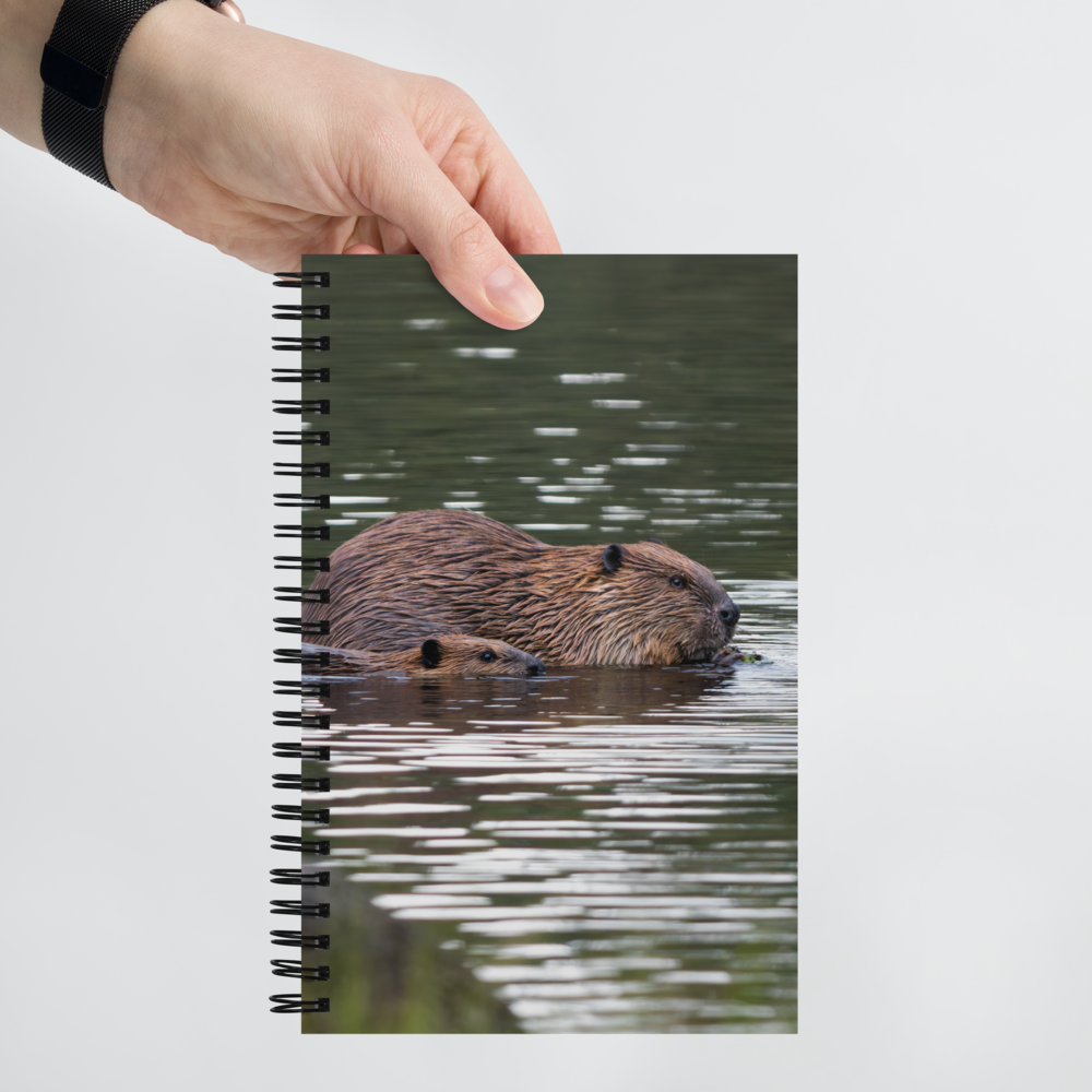Beaver Spiral notebook